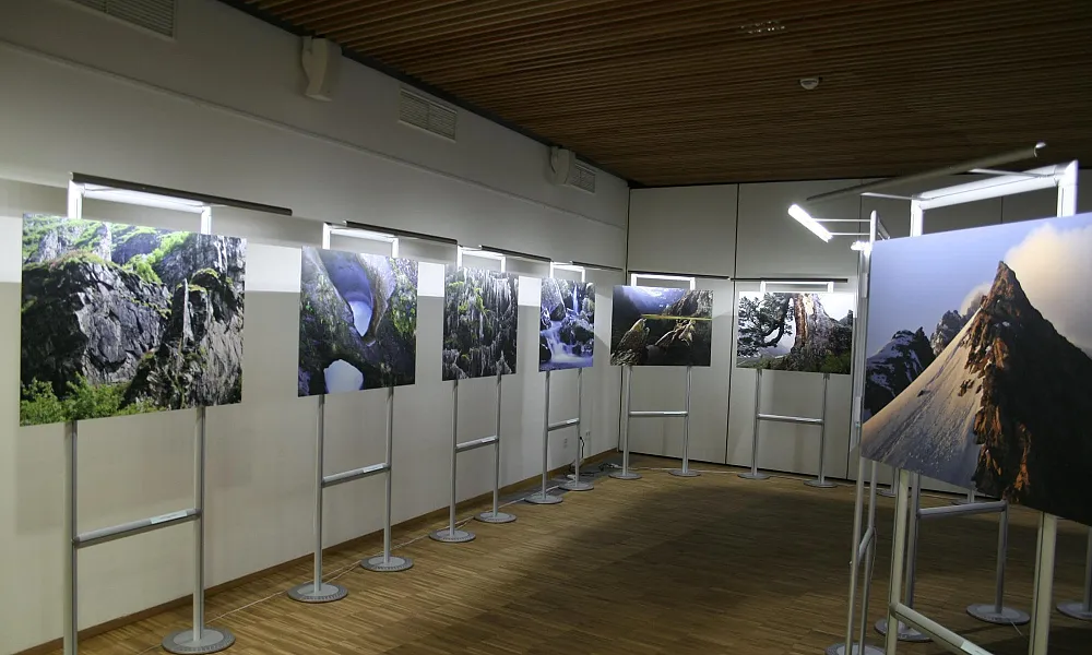 _mg_0979.jpg
